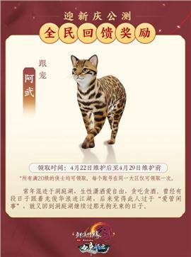 天龙八部私服光柱教程